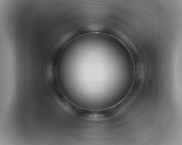 X0000112170212200908071205