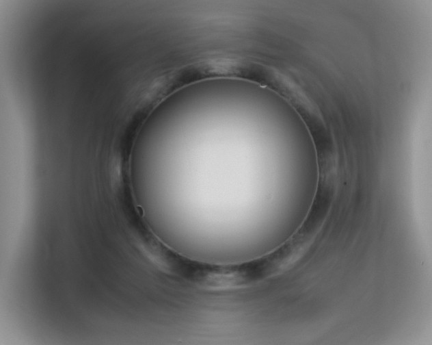 X0000112170213200908071205