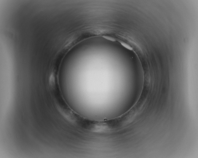 X0000112170214200908071205