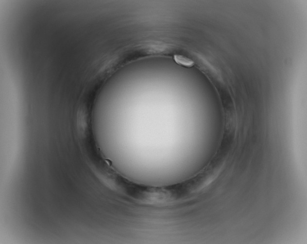 X0000112170215200908071205