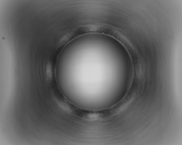 X0000112170216200908071205