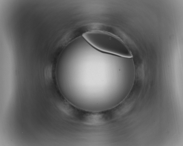 X0000112170217200908071205