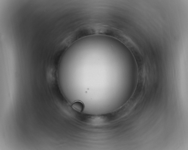 X0000112170218200908071205