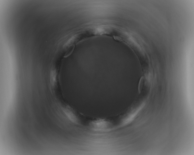 X0000112170219200908071205