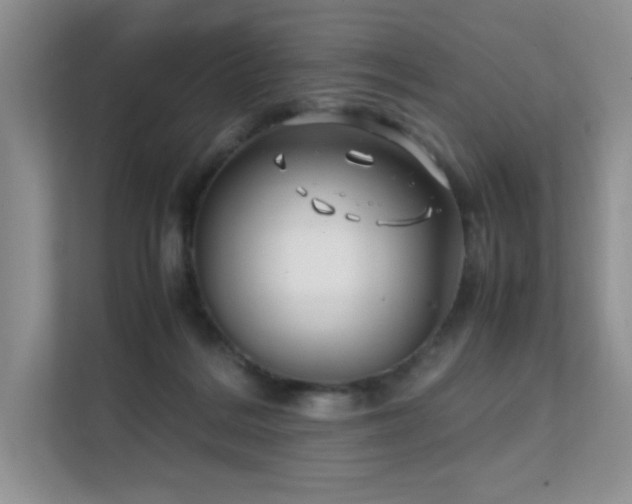 X0000112170220200908071205