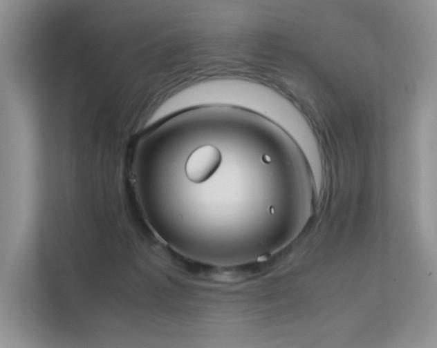 X0000112170221200908071205