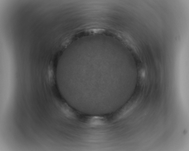 X0000112170222200908071205