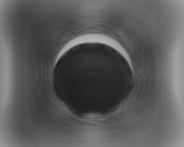 X0000112170223200908071205