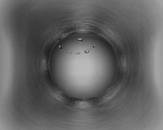 X0000112170224200908071205