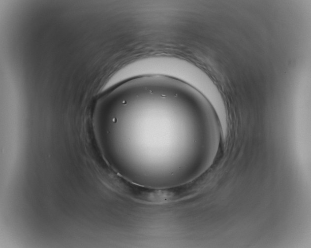 X0000112170225200908071205