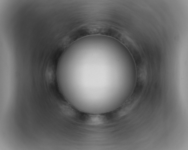 X0000112170226200908071205