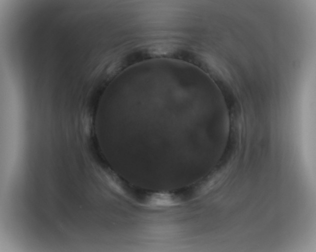 X0000112170227200908071205