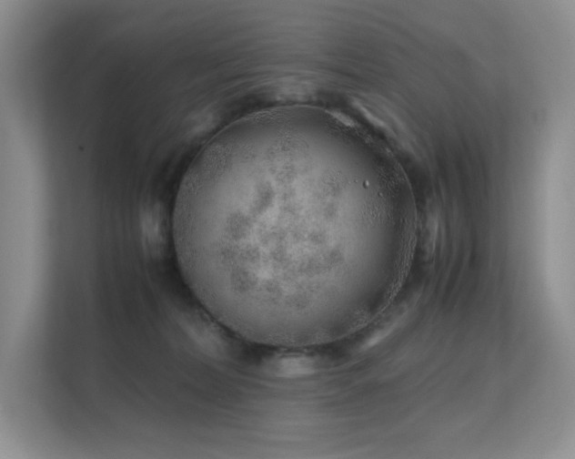 X0000112170228200908071205