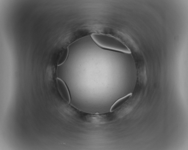 X0000112170229200908071205