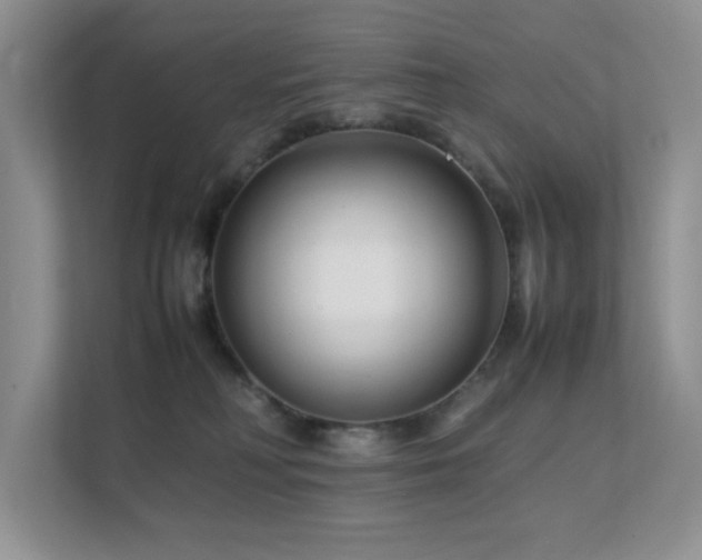 X0000112170230200908071205