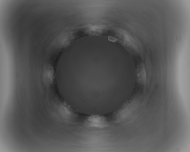 X0000112170231200908071205