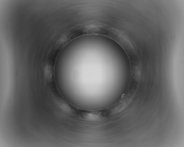 X0000112170232200908071205