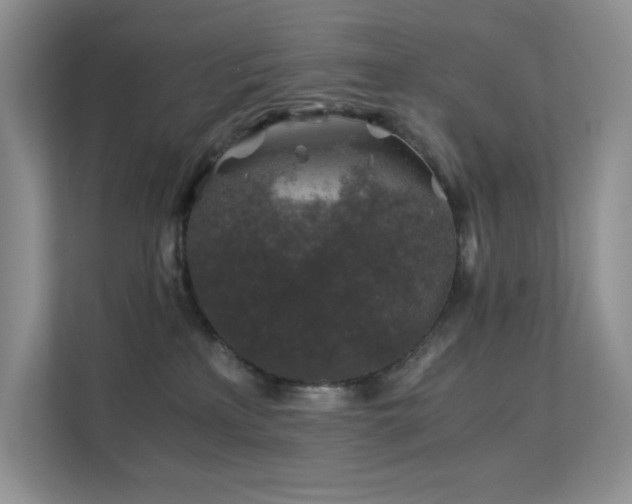 X0000112170233200908071205