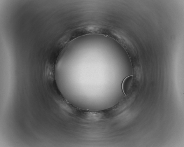 X0000112170234200908071205