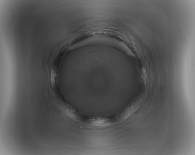 X0000112170235200908071205