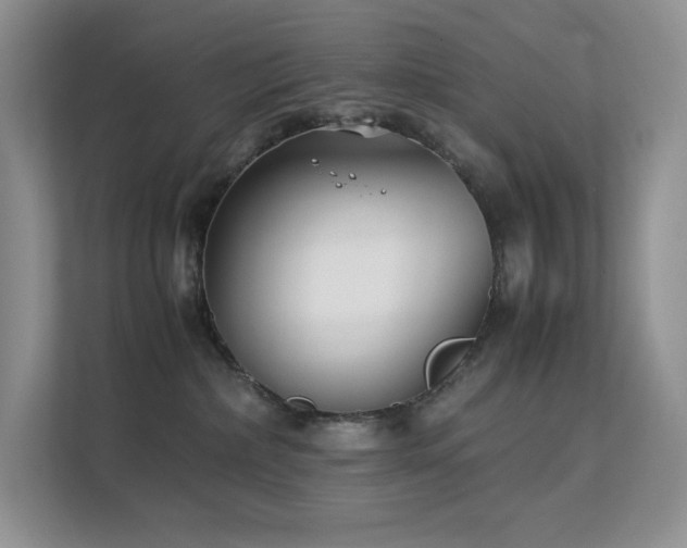 X0000112170236200908071205