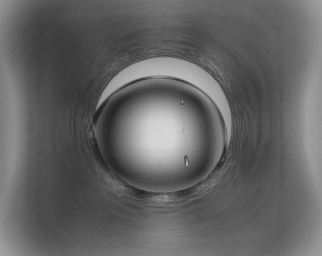 X0000112170237200908071205