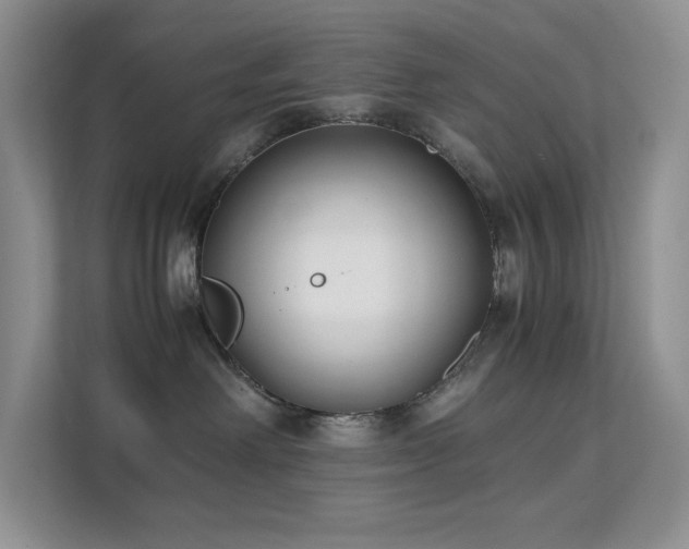 X0000112170238200908071205