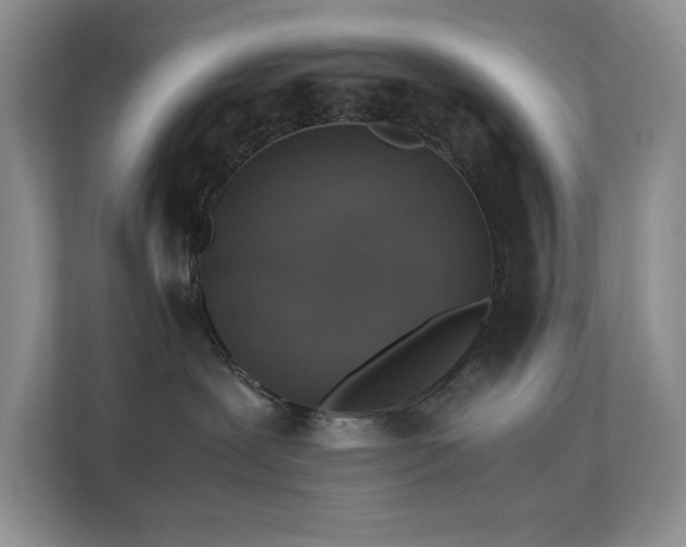 X0000112170239200908071205