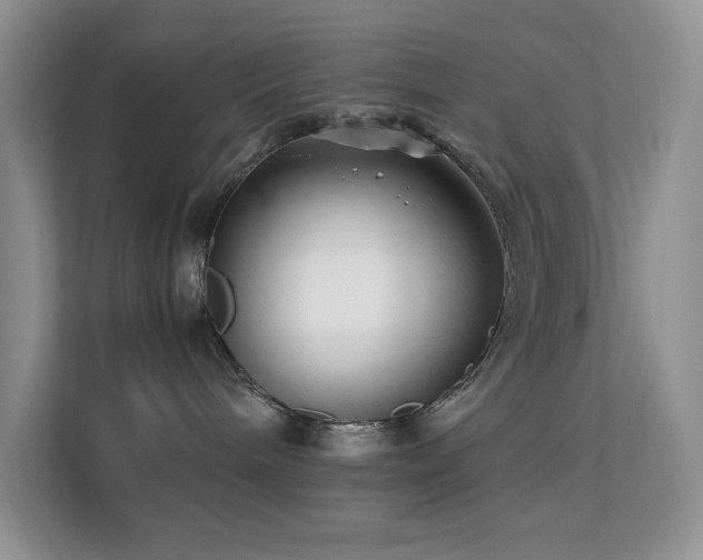 X0000112170240200908071205