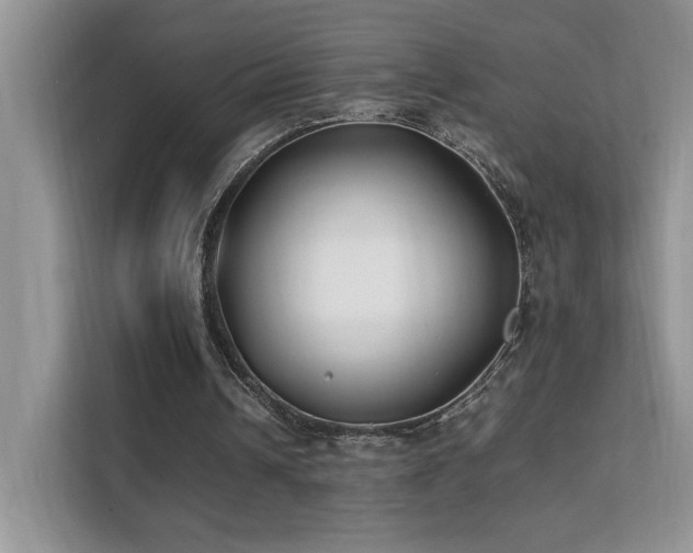 X0000112170242200908071204