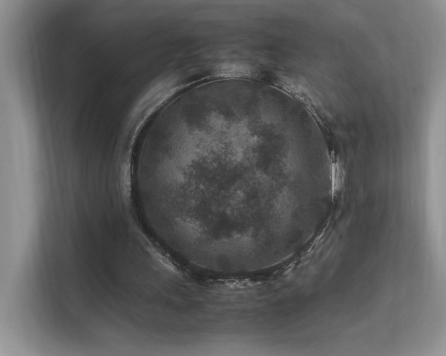 X0000112170243200908071204