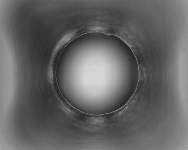 X0000112170245200908071204