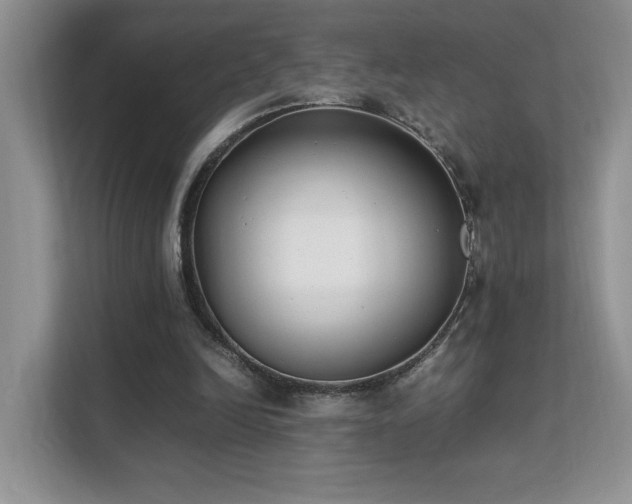 X0000112170246200908071204