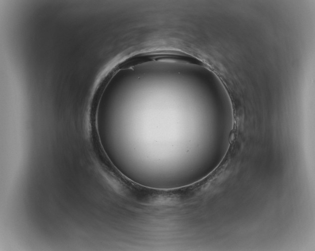 X0000112170248200908071204