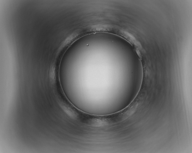 X0000112170250200908071204