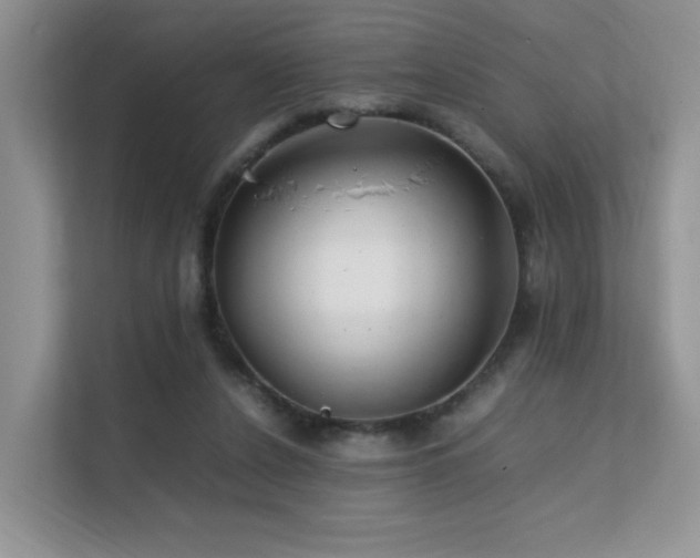 X0000112170256200908071204