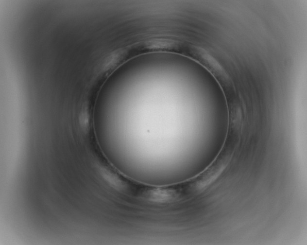 X0000112170261200908071204