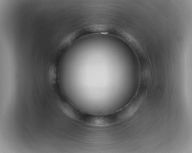 X0000112170264200908071204