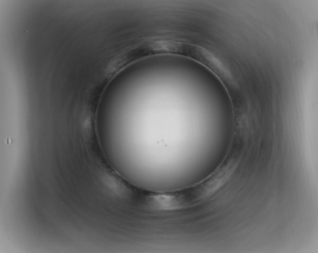 X0000112170265200908071204