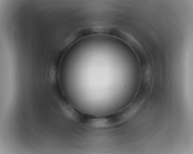 X0000112170266200908071204