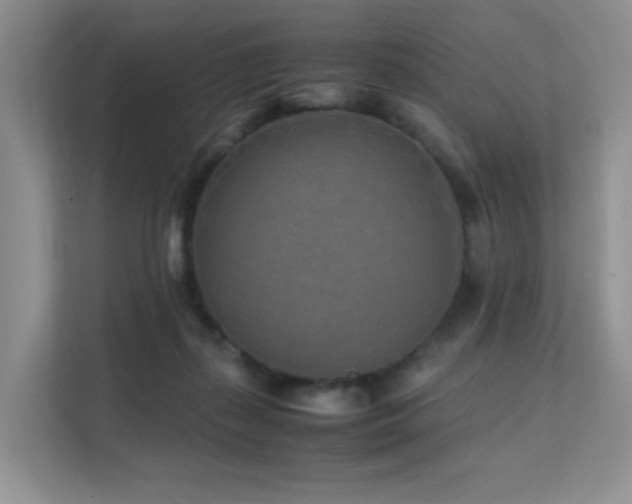 X0000112170267200908071204