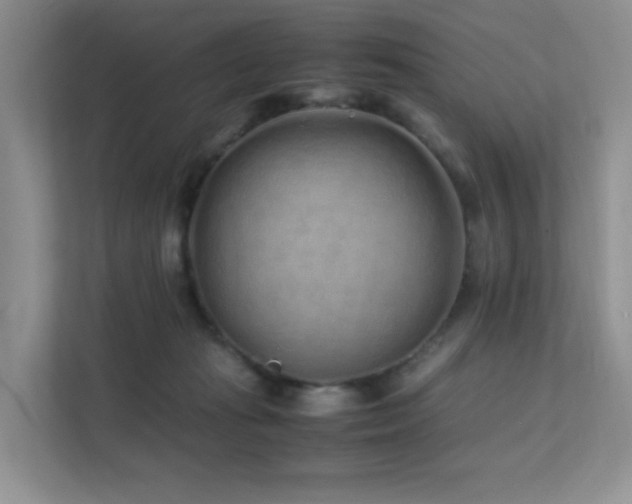 X0000112170269200908071204