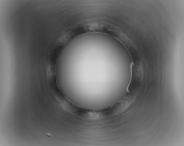 X0000112170272200908071204