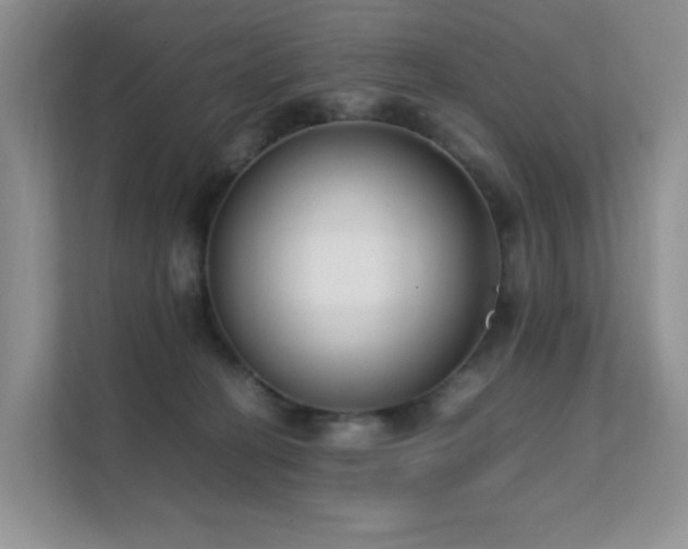 X0000112170274200908071204