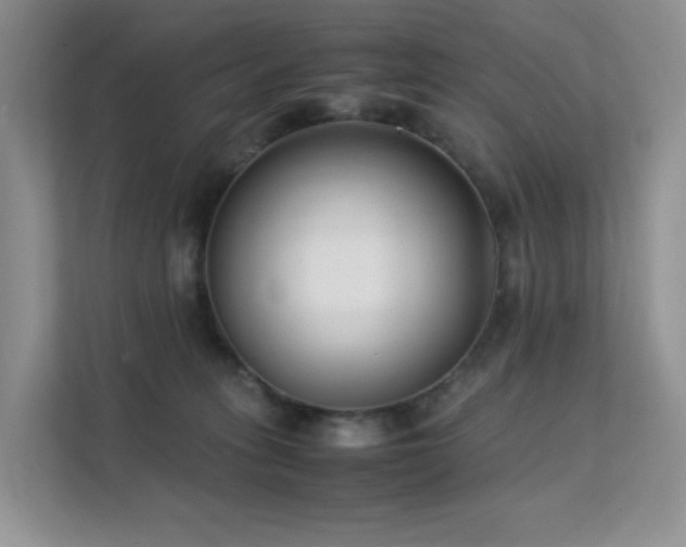 X0000112170275200908071204