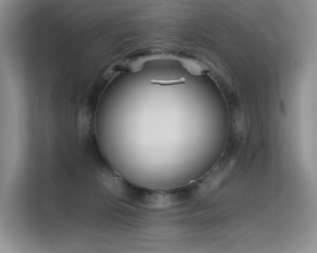 X0000112170276200908071205