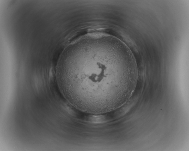 X0000112170277200908071205