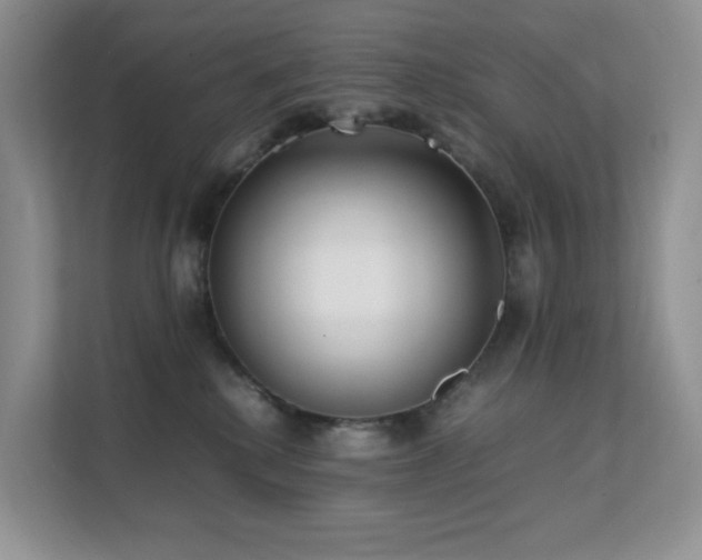 X0000112170280200908071205