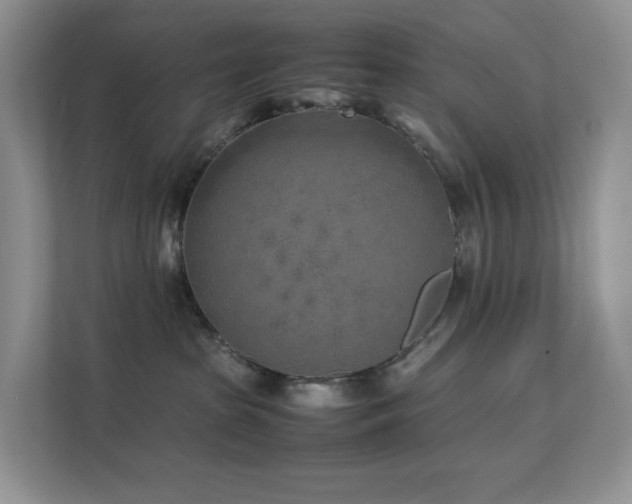 X0000112170285200908071205