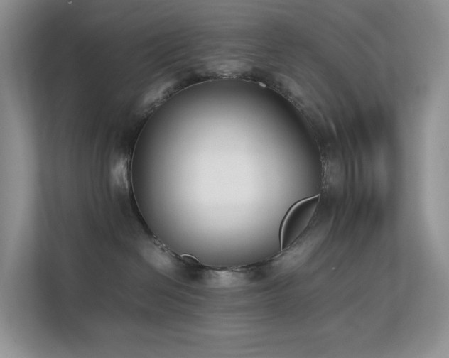 X0000112170286200908071205